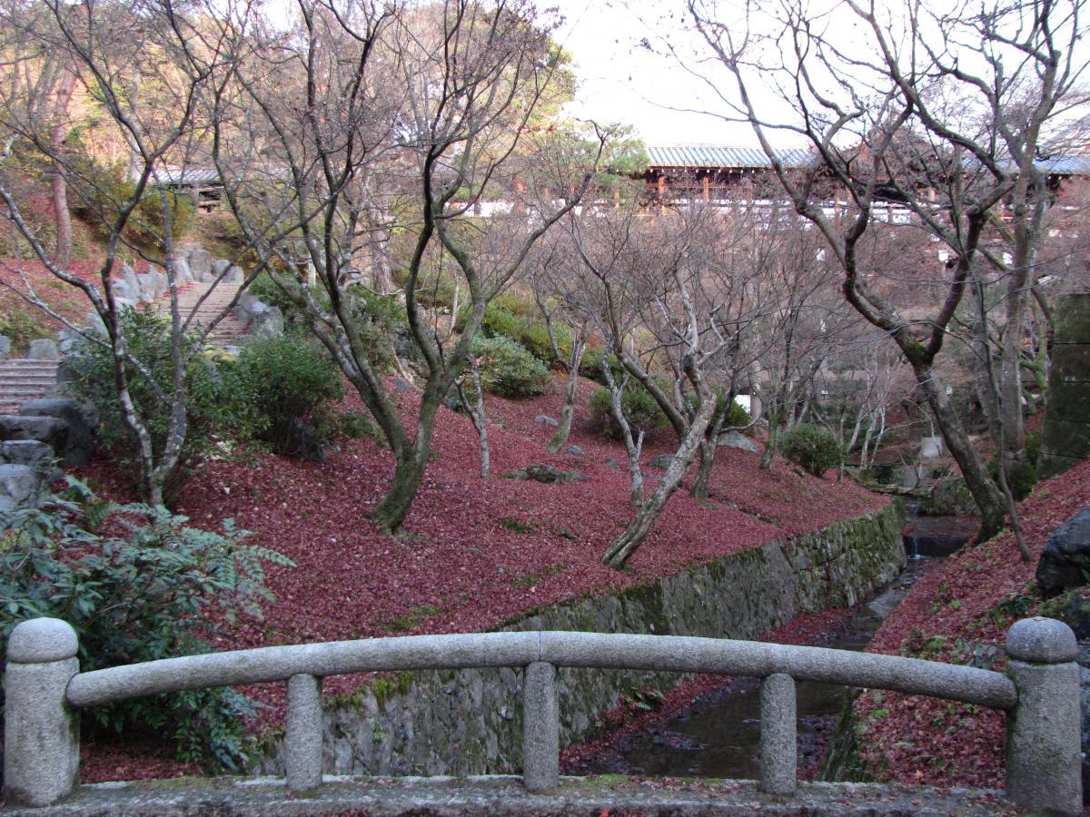 Tofuku-ji red maple leaves