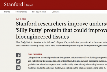 Screenshot of article on Stanford News website
